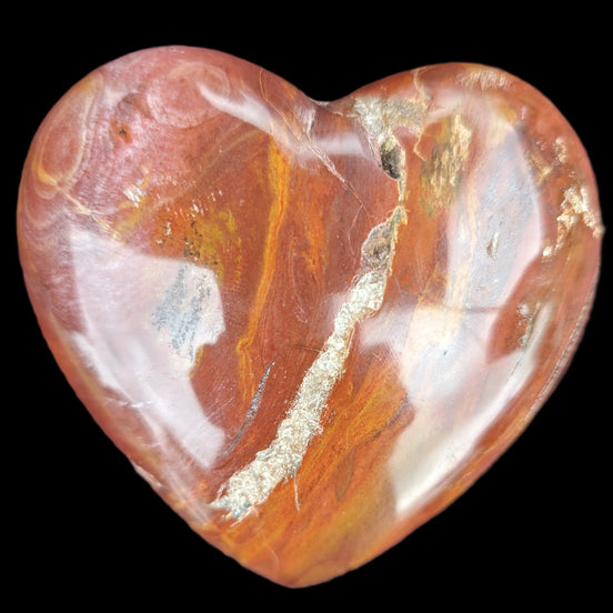 Petrified Wood heart 315g in sunlight - Rocks and Things Store