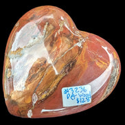 Petrified Wood heart 315g in sunlight - Rocks and Things Store