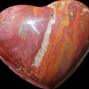 Petrified Wood heart 315g in sunlight - Rocks and Things Store