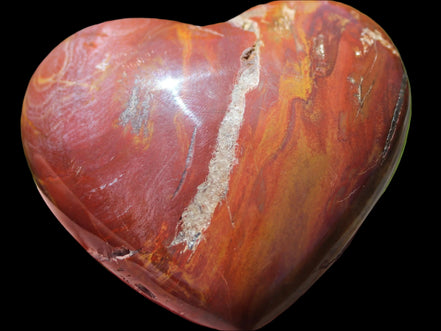 Petrified Wood heart 315g in sunlight - Rocks and Things Store