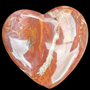 Petrified Wood heart 315g in sunlight - Rocks and Things Store