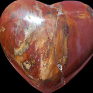 Petrified Wood heart 315g in sunlight - Rocks and Things Store