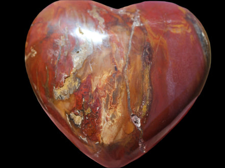 Petrified Wood heart 315g in sunlight - Rocks and Things Store