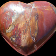 Petrified Wood heart 315g in sunlight - Rocks and Things Store