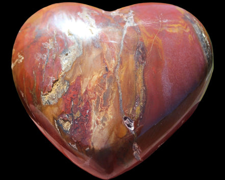 Petrified Wood heart 315g in sunlight - Rocks and Things Store