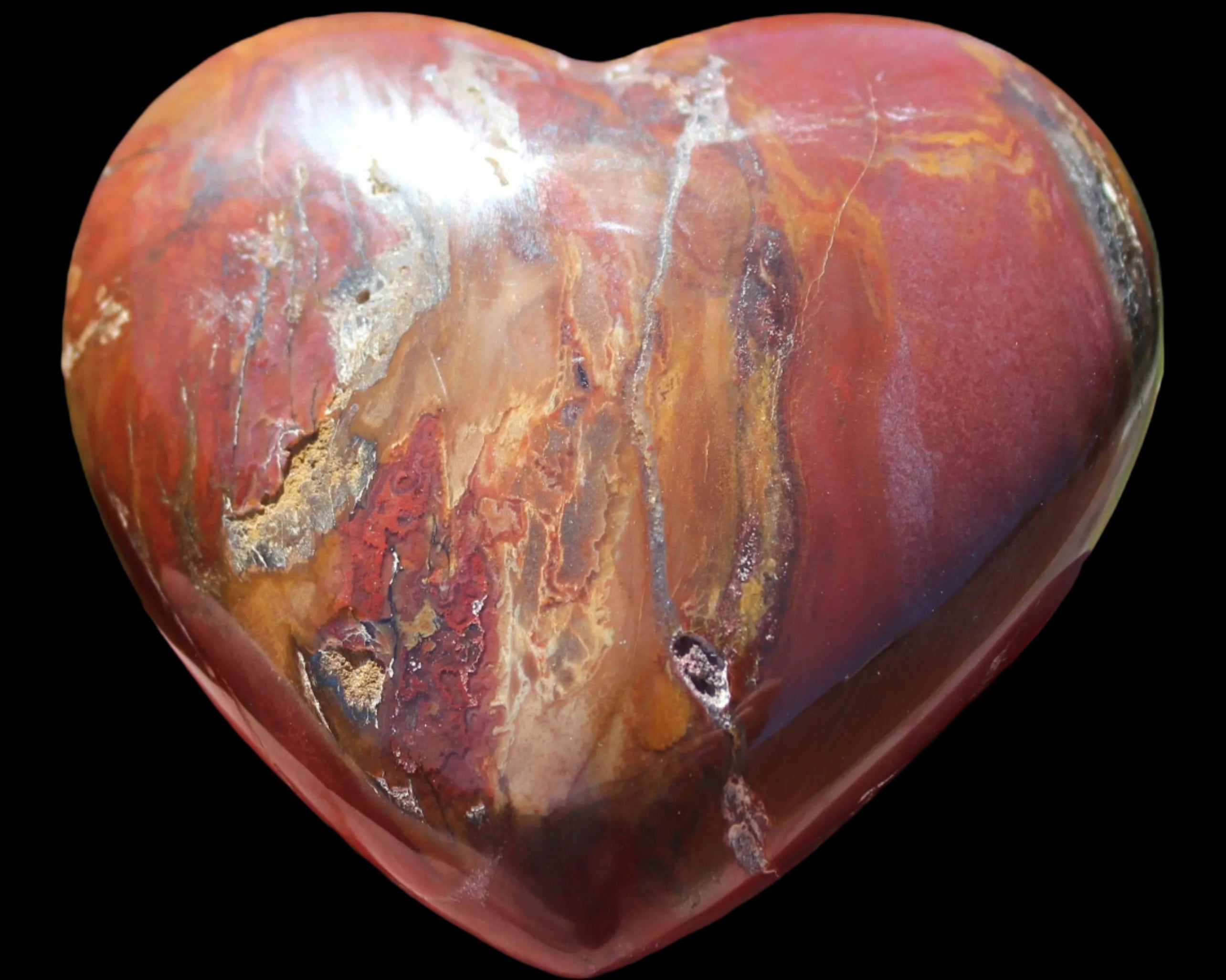 Petrified Wood heart 315g in sunlight - Rocks and Things Store