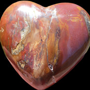Petrified Wood heart 315g in sunlight - Rocks and Things Store
