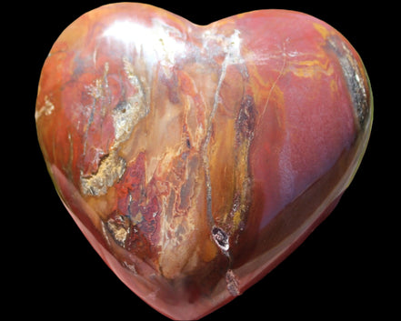 Petrified Wood heart 315g in sunlight - Rocks and Things Store