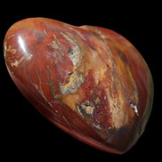 Petrified Wood heart 315g in sunlight - Rocks and Things Store