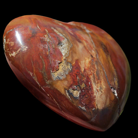 Petrified Wood heart 315g in sunlight - Rocks and Things Store