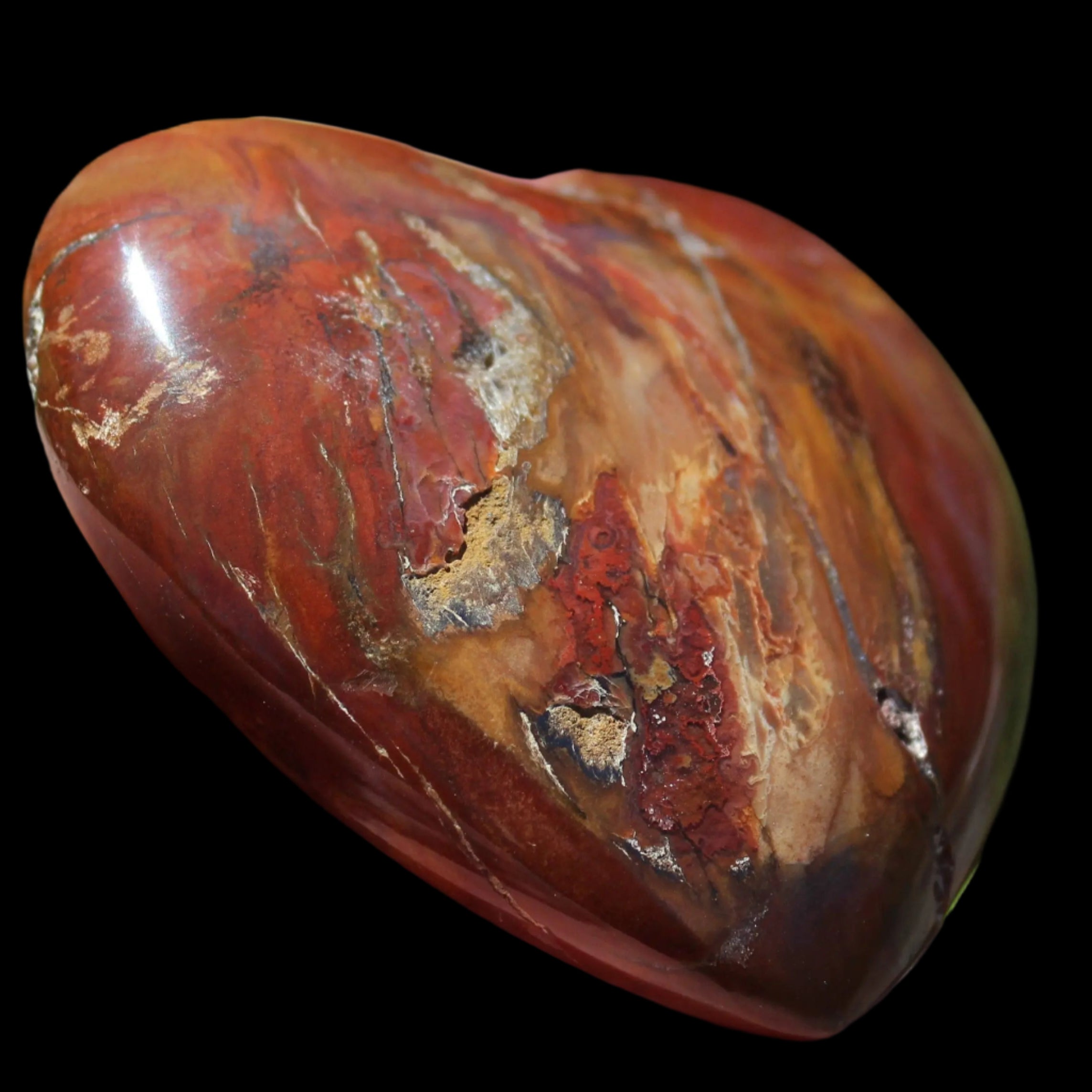 Petrified Wood heart 315g in sunlight - Rocks and Things Store