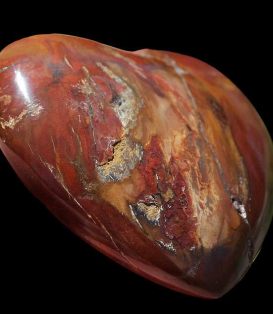 Petrified Wood heart 315g in sunlight - Rocks and Things Store
