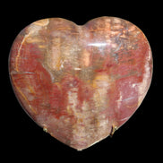 Petrified Wood heart from Madagascar 276g Rocks and Things Store
