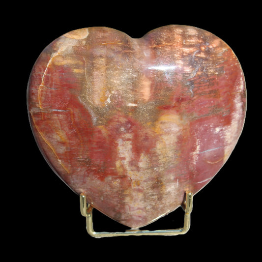 Petrified Wood heart from Madagascar 276g Rocks and Things Store