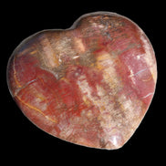 Petrified Wood heart from Madagascar 276g Rocks and Things Store