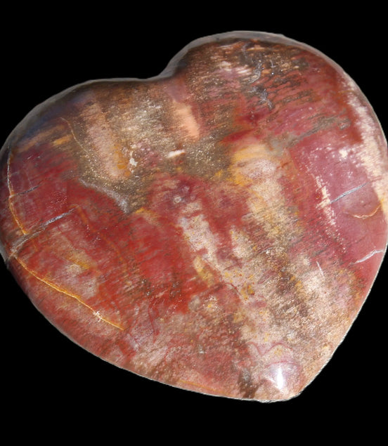 Petrified Wood heart from Madagascar 276g Rocks and Things Store