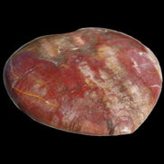 Petrified Wood heart from Madagascar 276g Rocks and Things Store