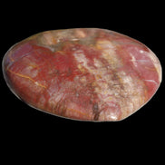 Petrified Wood heart from Madagascar 276g Rocks and Things Store