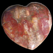 Petrified Wood heart from Madagascar 276g Rocks and Things Store