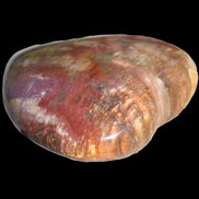 Petrified Wood heart from Madagascar 276g Rocks and Things Store