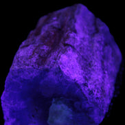 Petrified Wood log 65*45*78mm  455g Rocks and Things