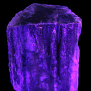 Petrified Wood log 65*45*78mm  455g Rocks and Things