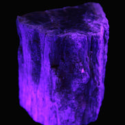 Petrified Wood log 65*45*78mm  455g Rocks and Things