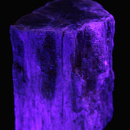 Petrified Wood log 65*45*78mm  455g Rocks and Things