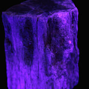 Petrified Wood log 65*45*78mm  455g Rocks and Things