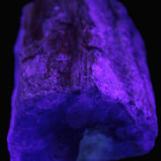 Petrified Wood log 65*45*78mm  455g Rocks and Things