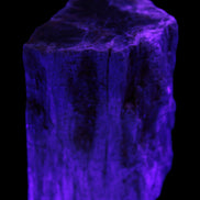 Petrified Wood log 65*45*78mm  455g Rocks and Things