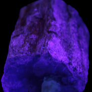 Petrified Wood log 65*45*78mm  455g Rocks and Things