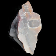 Petrified wood natural chunks 43-50mm 30-35g Rocks and Things