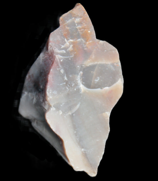 Petrified wood natural chunks 43-50mm 30-35g Rocks and Things