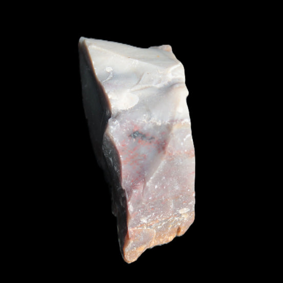 Petrified wood natural chunks 43-50mm 30-35g Rocks and Things