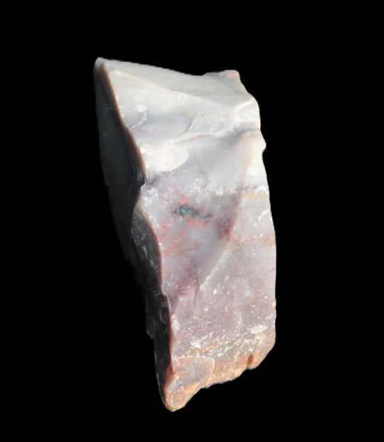 Petrified wood natural chunks 43-50mm 30-35g Rocks and Things