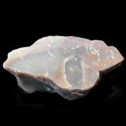 Petrified wood natural chunks 43-50mm 30-35g Rocks and Things