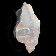 Petrified wood natural chunks 43-50mm 30-35g Rocks and Things