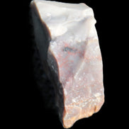 Petrified wood natural chunks 43-50mm 30-35g Rocks and Things