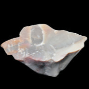 Petrified wood natural chunks 43-50mm 30-35g Rocks and Things