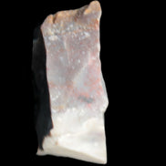 Petrified wood natural chunks 43-50mm 30-35g Rocks and Things