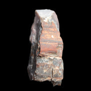 Petrified wood natural chunks 43-50mm 30-35g Rocks and Things