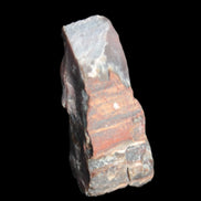 Petrified wood natural chunks 43-50mm 30-35g Rocks and Things