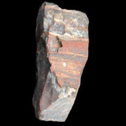 Petrified wood natural chunks 43-50mm 30-35g Rocks and Things