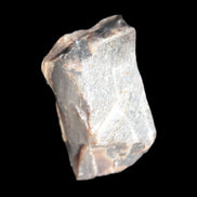 Petrified wood natural chunks 43-50mm 30-35g Rocks and Things