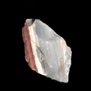 Petrified wood natural chunks 43-50mm 30-35g Rocks and Things