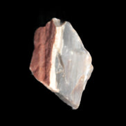 Petrified wood natural chunks 43-50mm 30-35g Rocks and Things