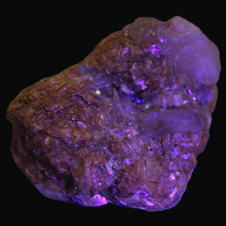 Pink Morganite crystals in Mica matrix from Afghanistan 300.5ct 60.1g in UV light - Rocks and Things Store