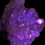 Pink Morganite crystals in Mica matrix from Afghanistan 300.5ct 60.1g in UV light - Rocks and Things Store