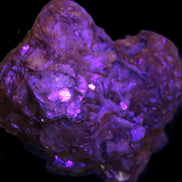 Pink Morganite crystals in Mica matrix from Afghanistan 300.5ct 60.1g in UV light - Rocks and Things Store